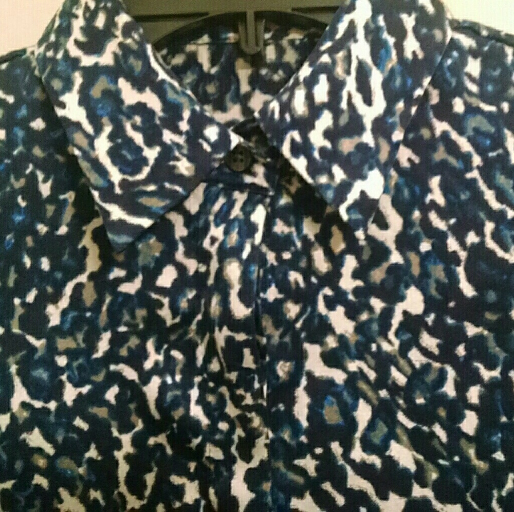 Ann Taylor Silk Top Size 0
